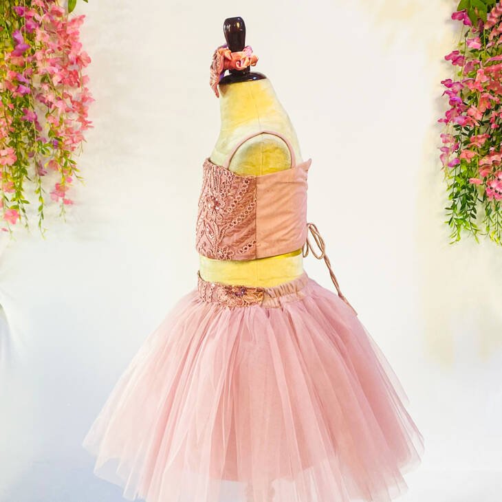 Gold Baby Tutu Dress - Image 4
