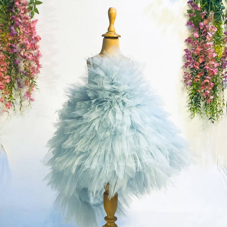 Blue Tulle Hand Embroidered Pearls Bodice And Frilled Dress
