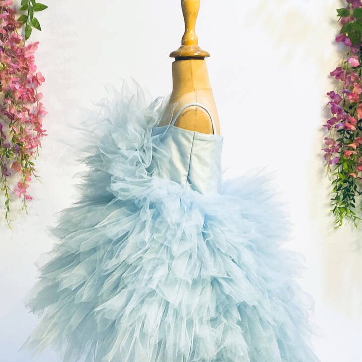 Blue Tulle Hand Embroidered Pearls Bodice And Frilled Dress - Image 4