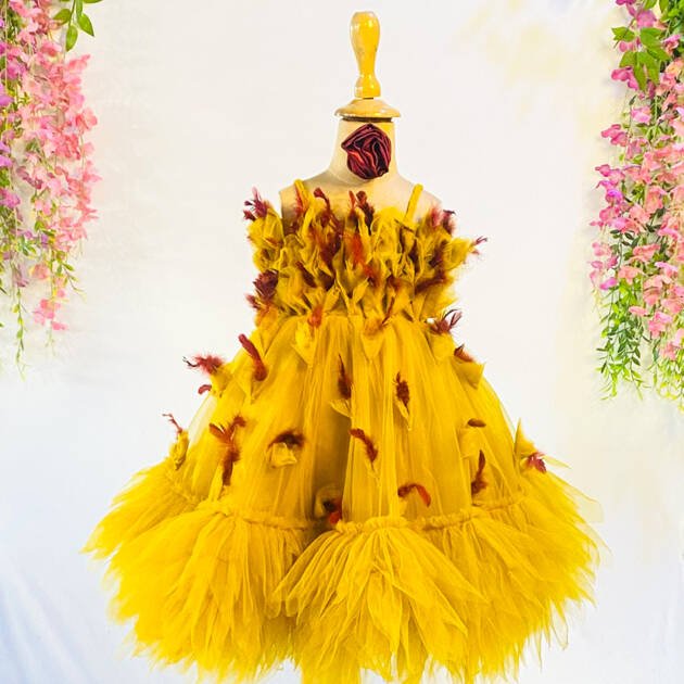 Feather Tulle Mini Dress